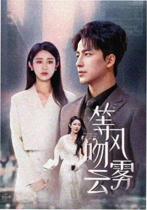 韩剧TV职场励志剧海报