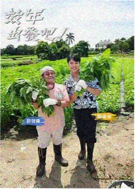 韩国综艺我独自生活海报